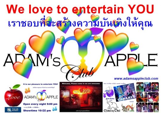 Adult Entertainment Chiang Mai + Men entertain Men Adam's Apple Club Gay Bar Thailand Ladyboy Cabaret LGBTQ Asian Boys