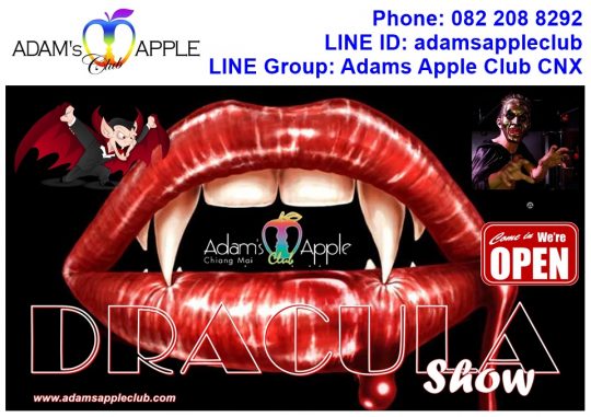 DRACULA SHOW CNX - Adams Apple Club Show Bar Chiang Mai, OPEN every Night 9:00 PM and our amazing unique Show START every Night 10:00 PM.