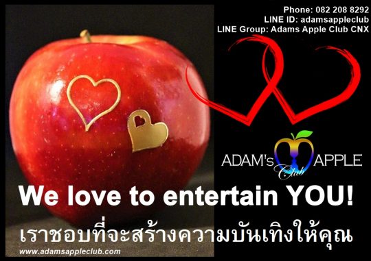 Chiang Mai Entertainment Adam’s Apple Club in Chiang Mai OPEN every Night 9:00 PM and our amazing unique Show START every Night 10:00 PM.