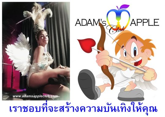 Ladyboy Cabaret CNX Adam's Apple Club Chiang Mai Thailand Always the best Shows in town - FREE ENTRY OPEN 9:00 PM Show START 10:00 PM.