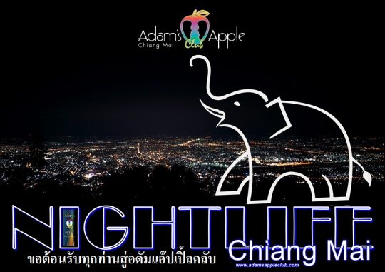 Chiang Mai Nightlife Show Bar and Nightclub Adams Apple Club OPEN every Night 9:00 PM and our amazing unique Show START every Night 10:00 PM.