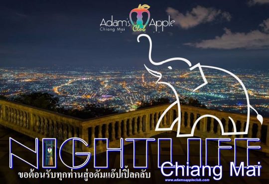 Chiang Mai Nightlife Show Bar and Nightclub Adams Apple Club OPEN every Night 9:00 PM and our amazing unique Show START every Night 10:00 PM.