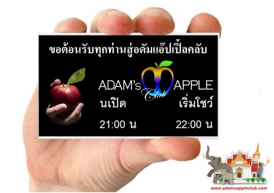 Our business hours OPEN and Show hours Adams Apple Club Chiang Mai Gay Bar Thailand FREE ENTRY open at 21:00 Show starts 22:00