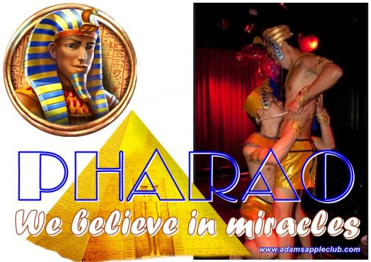 PHARAOH Show Adam's Apple Club Chiang Mai gay friendly Nightclub. This unique Venue OPEN every Night 9:00 PM and the Show START 10:00 PM.