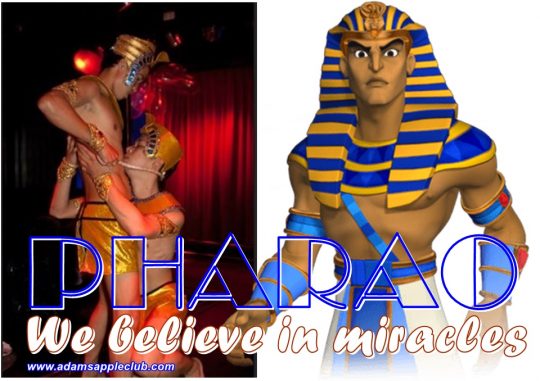 PHARAOH Show Adam's Apple Club Chiang Mai gay friendly Nightclub. This unique Venue OPEN every Night 9:00 PM and the Show START 10:00 PM.