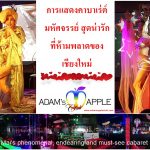 Chiang Mai's most friendly Gay Cabaret Show Bar, phenomenal, endearing and must-see OPEN every Night 9:00 PM and the Show START 10:00 PM