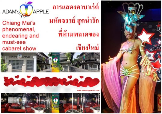 Chiang Mai's most friendly Gay Cabaret Show Bar, phenomenal, endearing and must-see OPEN every Night 9:00 PM and the Show START 10:00 PM
