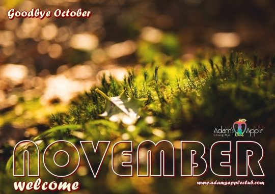Welcome NOVEMBER 2022 Adam's Apple Club Chiang Mai Thailand. A new month, a new challenge and a new beginning for us.