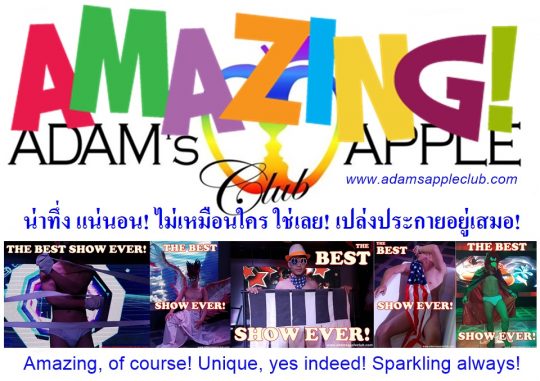 Amazing of course! Unique yes indeed! Sparkling always! Entertainment Chiang Mai Adam's Apple Club gay friendly Venue in Thailand