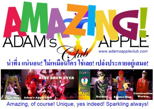 Amazing of course! Unique yes indeed! Sparkling always! Entertainment Chiang Mai Adam's Apple Club gay friendly Venue in Thailand