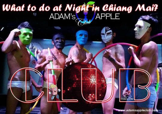 Best Club in Chiang Mai - guaranteed! Adam's Apple Club, this unique Hangout attracting a mixed clientele of both straight and gay patrons