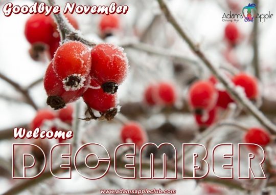 Welcome DECEMBER 2022 Adams Apple Club Chiang Mai OPEN every Night 9:00 PM and our amazing unique Show START every Night 10:00 PM