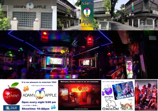 Worldclass entertainment in Chiang Mai at Adams Apple Club a unique and fun-loving venue that attracts a mixed straight and gay clientele