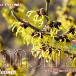 Poster for Adam's Apple Club - welcome to 2023.