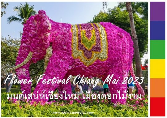 Charming Chiang Mai Flower Festival 2023, Chiang Mai is celebrating 46 years and making up for last year’s missed celebration!