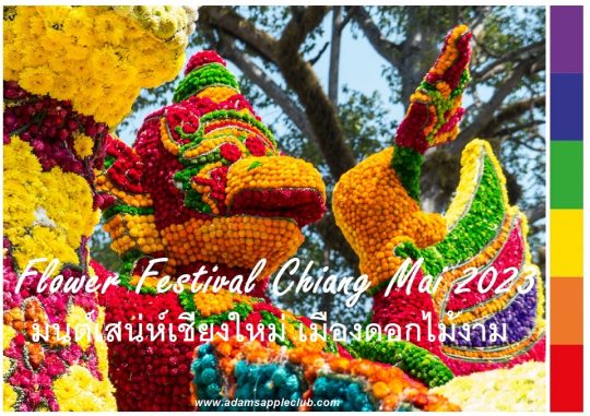 Charming Chiang Mai Flower Festival 2023, Chiang Mai is celebrating 46 years and making up for last year’s missed celebration!
