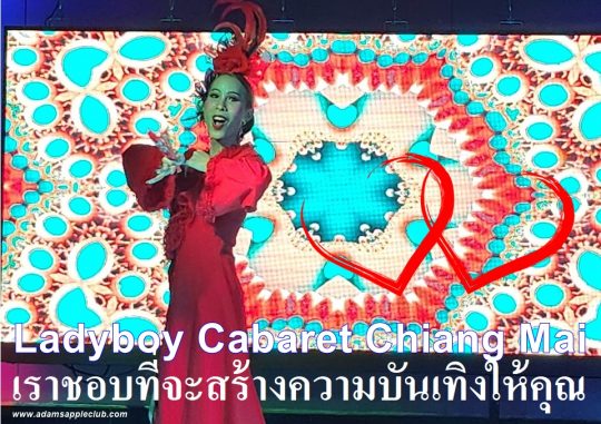 Ladyboy Cabaret Chiang Mai 2023 Adams Apple Club, please visit our LGBT friendly bar in the north (Santitham district) of the city