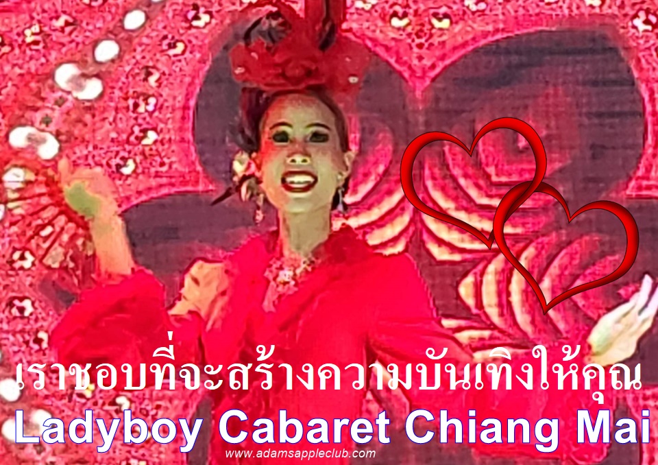 Ladyboy Cabaret Chiang Mai 2023 Adams Apple Club