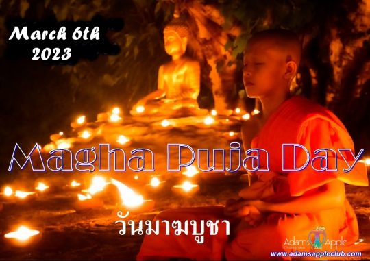 Magha Puja Day 2023 - Adam’s Apple Club Chiang Mai, Magha Puja is the second most important Buddhist festival วันมาฆบูชา