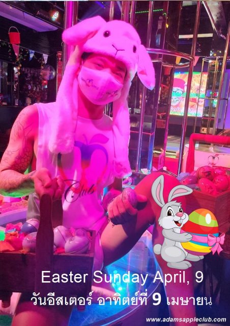 Easter Bunny 2023 comes Easter Sunday April, 9 to our gay friendly Nightclub in Chiang Mai, we will search and find the most beautiful eggs