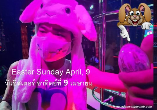 Easter Bunny 2023 comes Easter Sunday April, 9 to our gay friendly Nightclub in Chiang Mai, we will search and find the most beautiful eggs