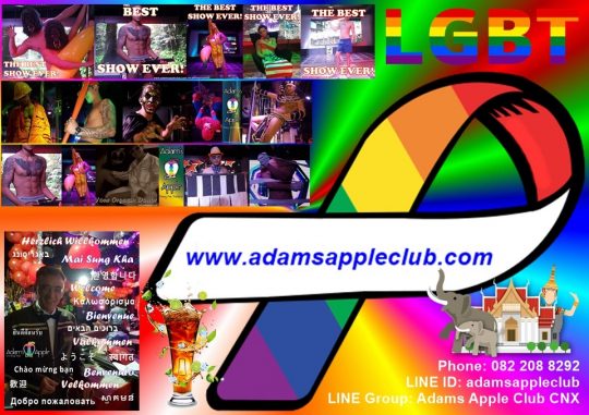 Gay Places Chiang Mai - Adam's Apple Club Thailand. Welcoming all people from all over the world, regardless of nationality or orientation