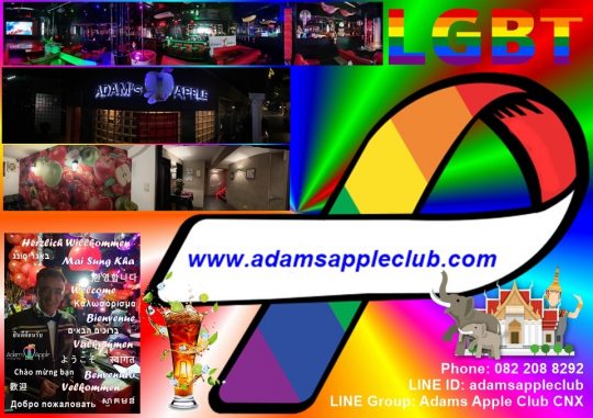 Gay Places Chiang Mai - Adam's Apple Club Thailand. Welcoming all people from all over the world, regardless of nationality or orientation
