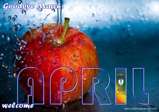 Welcome APRIL 2023 Adam's Apple Club gay friendly Venue - We wish our friends all over the world a nice April and look forward to your visit.