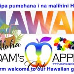Welcome guests from Hawaii Aloha ʻo Adam's Apple Club Chiang Mai i nā mea kūʻai mai Hawaiʻi! our LGBT friendly venue is tolerant of everyone