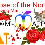 Chiang Mai best destination - is fondly called “Rose of the North” a very beautiful city, with a unique and unforgettable night life