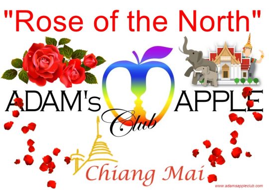 Chiang Mai best destination - is fondly called “Rose of the North” a very beautiful city, with a unique and unforgettable night life