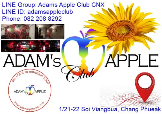 CONTACT Information for Adams Apple Club in Chiang Mai, Thailand to make a reservation and ask for more information