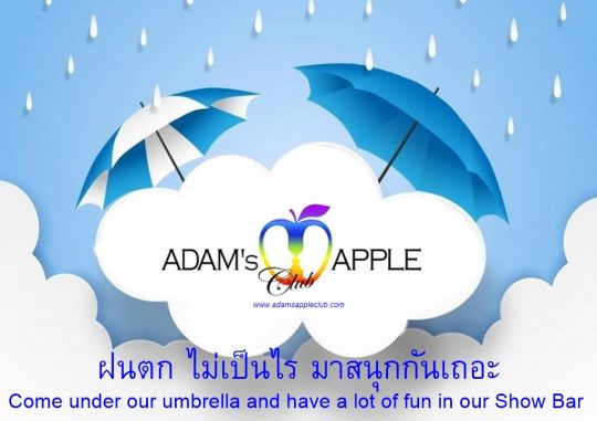 Your decision - Come under our umbrella and have a lot of FUN in our Show Bar Adam’s Apple Club Chiang Mai, our gay friendly LGBT Venue
