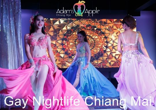 Gay Nightlife Chiang Mai Adams Apple Club - Immerse yourself in the gay nightlife of Chiang Mai and be surprised, you will be fascinated.