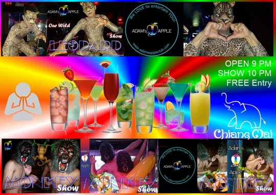 Enjoy a night of thrill and fun for everyone in our incredible Show Bar Adams Apple Club Chiang Mai, the atmosphere is modern and very cozy