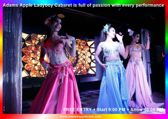 Full of passion Adams Apple Ladyboy Cabaret is full of passion with every performance. You simply have to see it experience this fascination