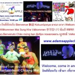 Recommended Venue Chiang Mai for a Night Out, a gay-friendly bar, a fun-loving venue that attracts a mixed crowd of straight and gay guests