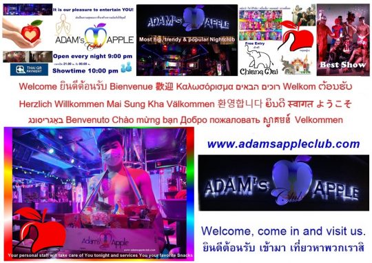 Recommended Venue Chiang Mai for a Night Out, a gay-friendly bar, a fun-loving venue that attracts a mixed crowd of straight and gay guests