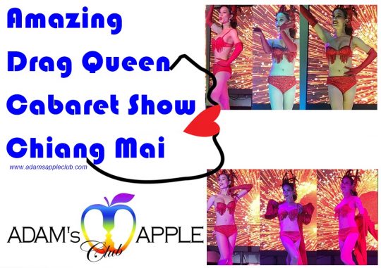 Amazing Drag Queen cabaret show Chiang Mai at its finest at the Adams Apple Club the legendary gay friendly Nightclub in Thailand