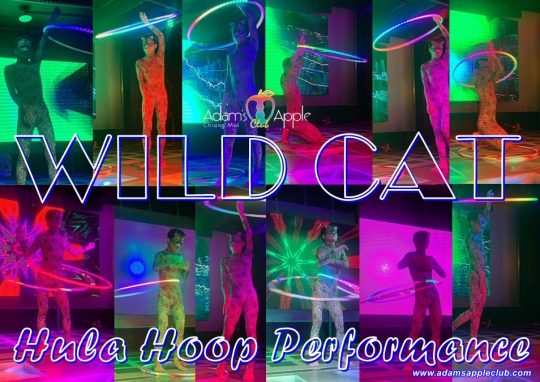 WILD CAT Hula Hoop Performance Adams Apple Club presents different Shows every night. Our our most popular show