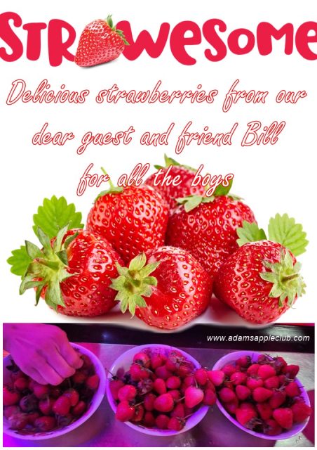 Delicious strawberries from our dear friend Bill. We would like to thank you from the bottom of our hearts for this lovely surprise.