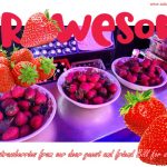 Delicious strawberries from our dear friend Bill. We would like to thank you from the bottom of our hearts for this lovely surprise.