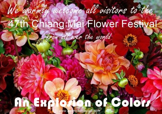 Flower Festival Chiang Mai 2024 An Explosion of Colors, we recommend that you visit the most legendary venue “Adams Apple Club” in the evening