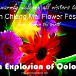 Flower Festival Chiang Mai 2024 An Explosion of Colors, we recommend that you visit the most legendary venue “Adams Apple Club” in the evening