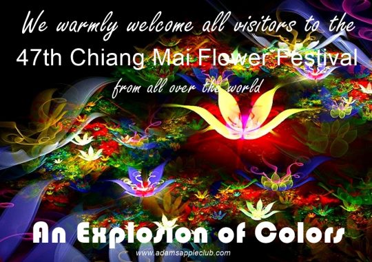 Flower Festival Chiang Mai 2024 An Explosion of Colors, we recommend that you visit the most legendary venue “Adams Apple Club” in the evening