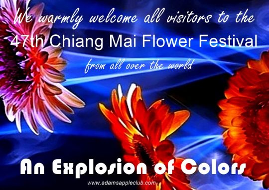 Flower Festival Chiang Mai 2024 An Explosion of Colors, we recommend that you visit the most legendary venue “Adams Apple Club” in the evening