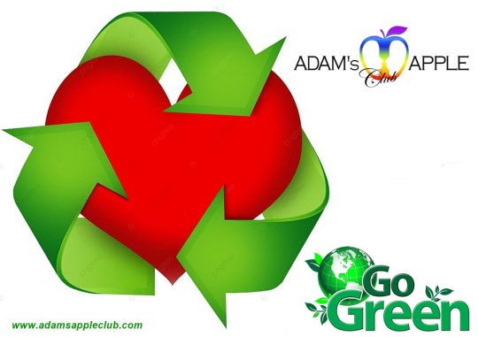 Gay Bar Go Green Adams Apple Club Chiang Mai - please support us with your ideas and suggestions! Thank You!