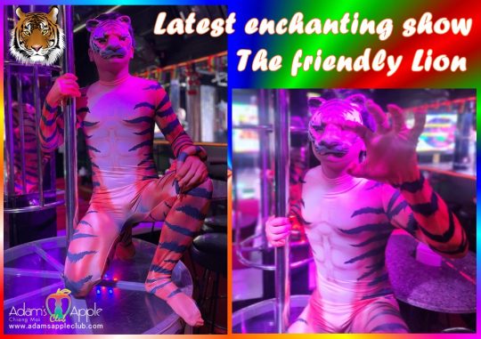 The friendly Lion Adams Apple Club presents different Shows every night live shows with excellent performers and an incredibly cool costumes