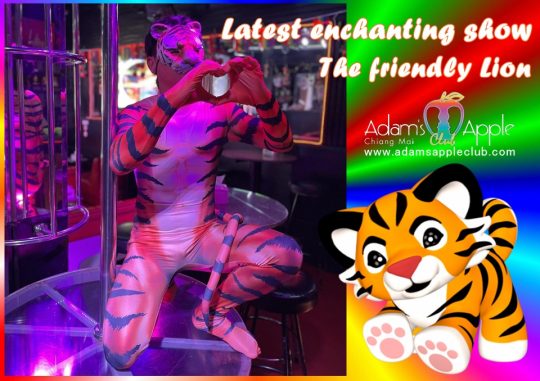 The friendly Lion Adams Apple Club presents different Shows every night live shows with excellent performers and an incredibly cool costumes