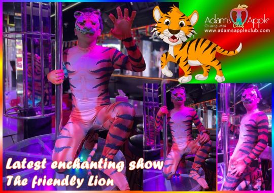 The friendly Lion Adams Apple Club presents different Shows every night live shows with excellent performers and an incredibly cool costumes